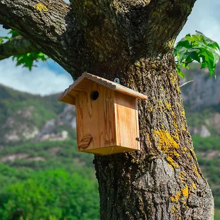 Κάμπινγκ Ecovillage Soleil Du Pibeste 4*