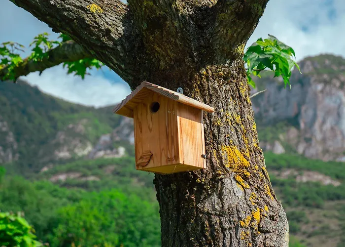 Κάμπινγκ Ecovillage Soleil Du Pibeste 4*